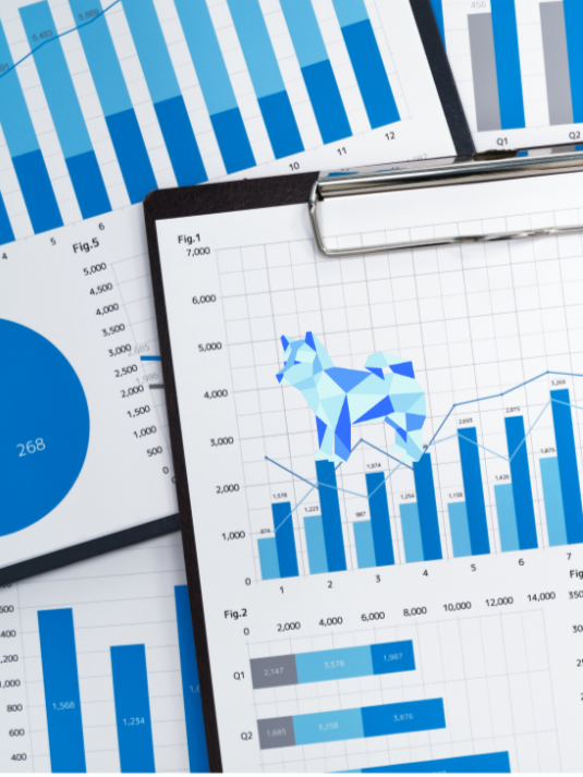 shane analytics vertical